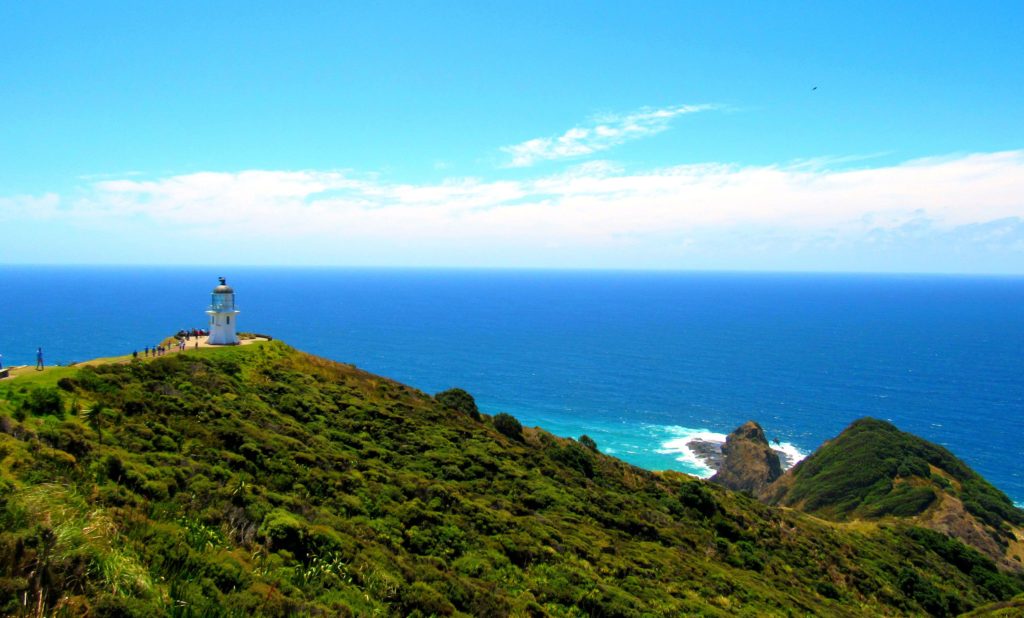 tourism in paihia nz