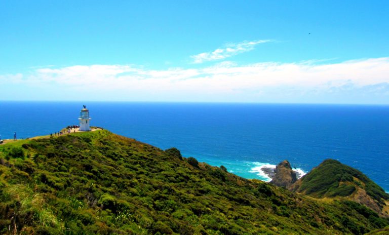 Cape Reinga Day Tour: Exploring the Far North