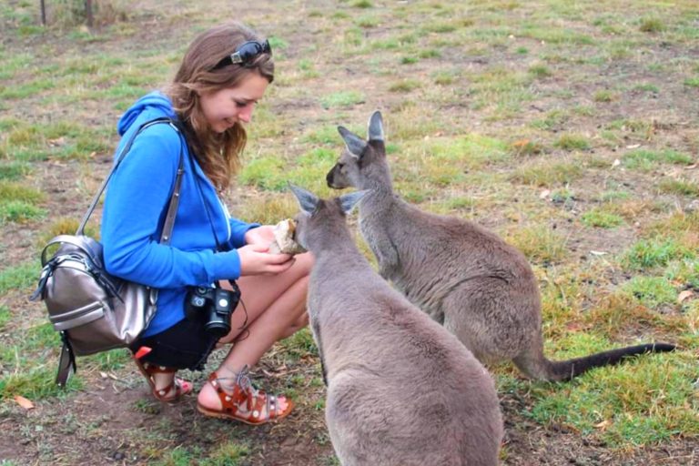 Au Pair in Australia: My Experience