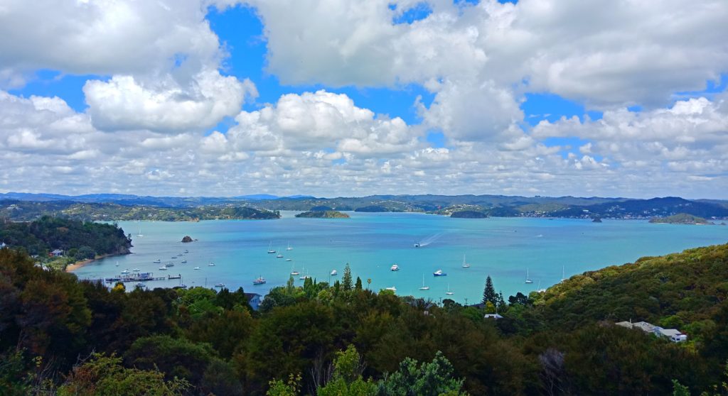 tourism in paihia nz