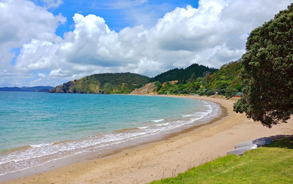 tourism in paihia nz