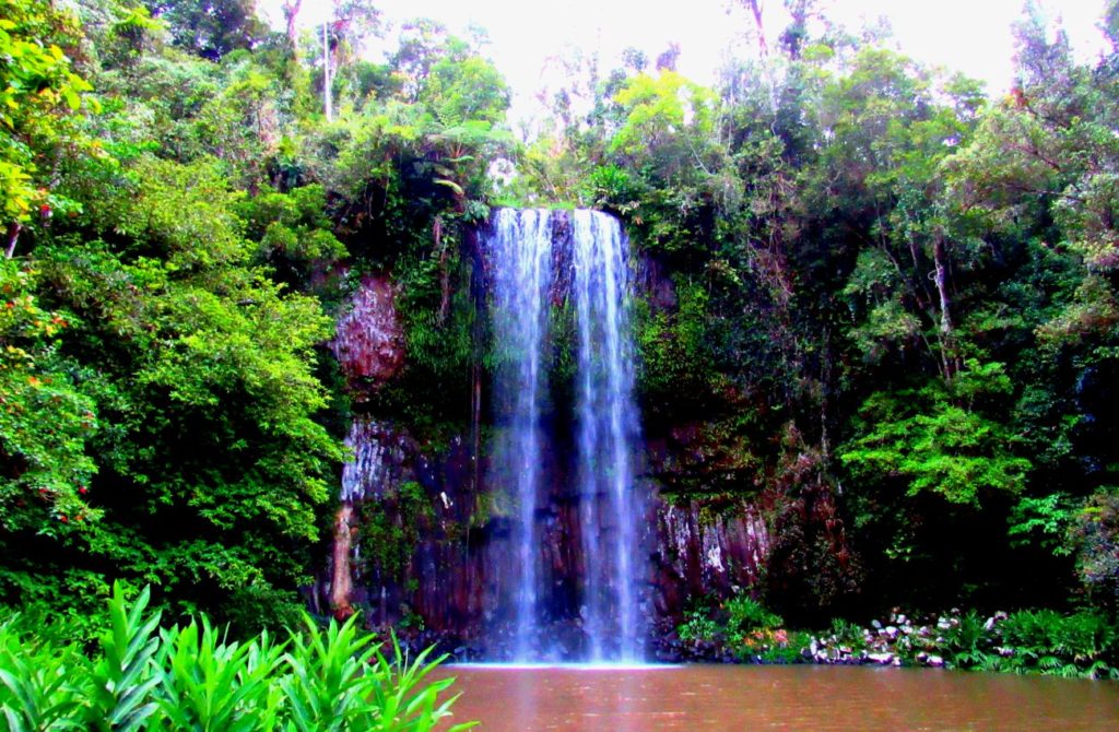 Milla Millaa Falls Cairns