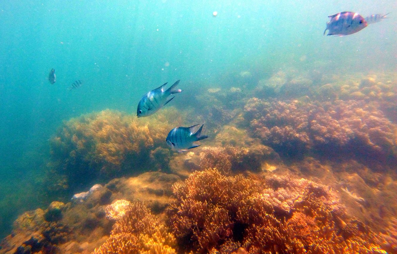 Great Barrier Reef, Whitsundays