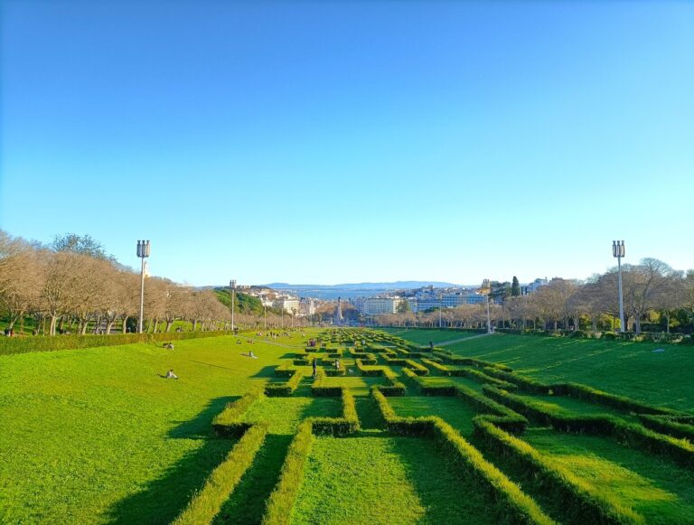 Lisbon Guide: What to Do on a Budget Trip?