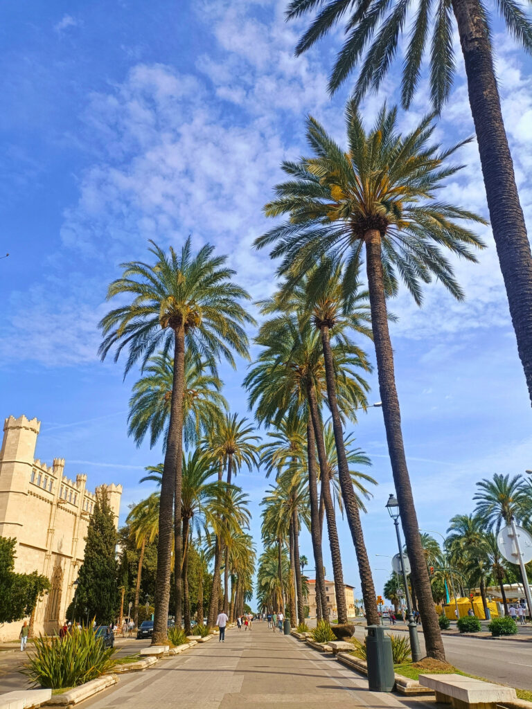 palma de mallorca solo travel