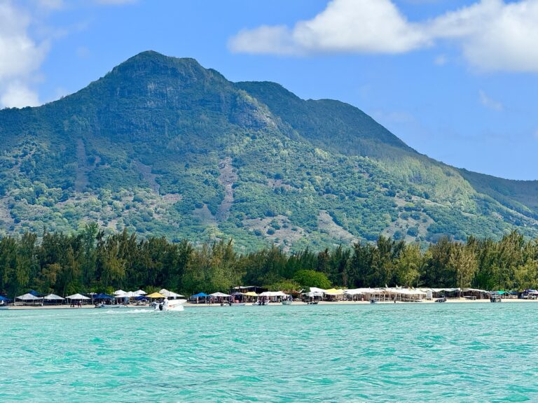 Swimming with Dolphins + Ile aux Bénitiers: Mauritius Boat Trip